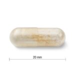 JAMIESON PROBIOTIC 30 MILIARD zmes bakteriálnych kultúr - 14 kmeňov 30 kapsúl – Obrázok 2