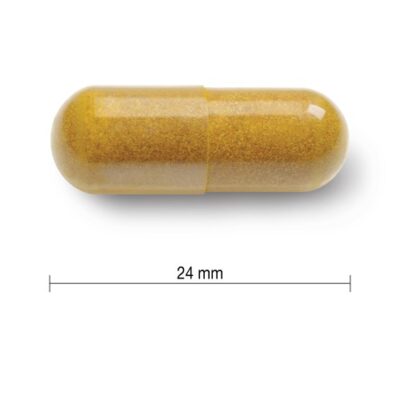 JAMIESON KURKUMÍN 550 mg 60 kapsúl – Obrázok 2
