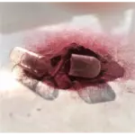 Barny′s® Cran-Urin Super Forte 20 kapsúl – Obrázok 3