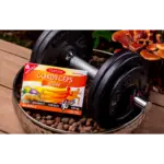 TEREZIA CORDYCEPS active 60 kapsúl – Obrázok 2