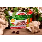 TEREZIA HLIVA USTRICOVITÁ + LAKTOBACILY so šípkami 60+60 kapsúl – Obrázok 2