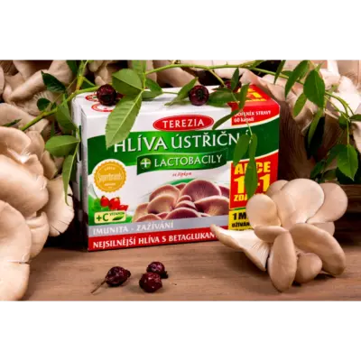 TEREZIA HLIVA USTRICOVITÁ + LAKTOBACILY so šípkami 60+60 kapsúl – Obrázok 2