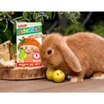 TEREZIA HLIVIAČIK S HLIVOU USTRICOVITOU + RAKYTNÍK sirup s príchuťou hrušky 100 ml – Obrázok 2