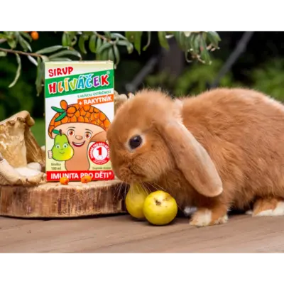 TEREZIA HLIVIAČIK S HLIVOU USTRICOVITOU + RAKYTNÍK sirup s príchuťou hrušky 100 ml – Obrázok 2