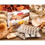 TEREZIA HUBOVÉ QUARTETO s REISHI 60 kapsúl – Obrázok 2