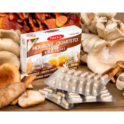 TEREZIA HUBOVÉ QUARTETO s REISHI 60 kapsúl – Obrázok 2