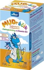 VITAR MUDRÁČIK multivitamín + BETAGLUKÁNY tbl s vitamínom D3 a rakytníkom, príchuť lesná zmes 1x60 ks
