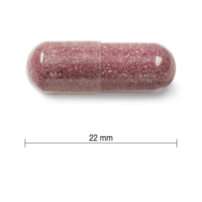 JAMIESON BRUSNICE komplex 500 mg 60 kapsúl – Obrázok 2