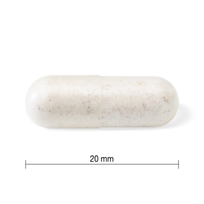 JAMIESON PROBIOTIC 1 MILIARDA zmes bakteriálnych kultúr - 5 kmeňov 25 kapsúl – Obrázok 2