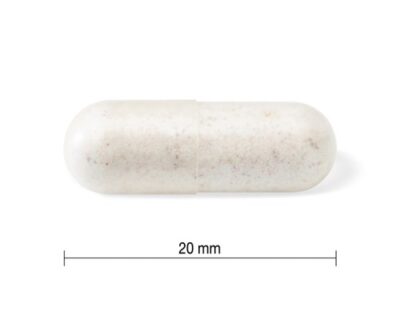 Jamieson Probiotic 10 miliárd, zmes bakteriálnych kultúr 60 kapsúl – Obrázok 2