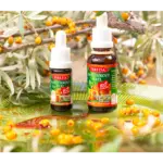 TEREZIA RAKYTNÍKOVÝ OLEJ kvapky 30 ml – Obrázok 2