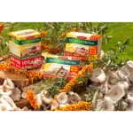 TEREZIA HLIVA USTRICOVITÁ S RAKYTNÍKOVÝM OLEJOM 200 kapsúl – Obrázok 4