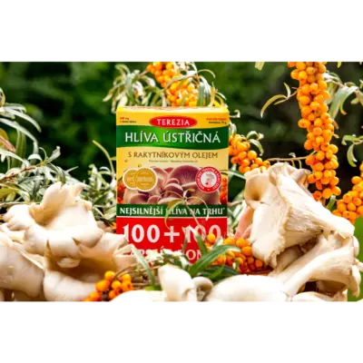 TEREZIA HLIVA USTRICOVITÁ S RAKYTNÍKOVÝM OLEJOM 200 kapsúl – Obrázok 2
