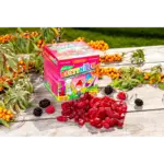 TEREZIA RAKYTNÍČEK vegánske želé s rakytníkom TRPASLÍCI 90 ks – Obrázok 3