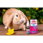 TEREZIA VITAMÍN D3 BABY kvapky 10 ml – Obrázok 2