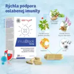 Barny′s® VirusBlock forte 20 kapsúl – Obrázok 2