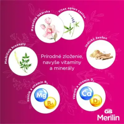 GS Merilin originál 60 tabliet – Obrázok 4