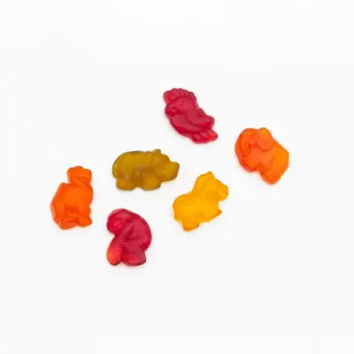 TEREZIA RAKYTNÍČEK želatínky s rakytníkom DŽUNGĽA 70 ks – Obrázok 3