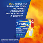 THERAFLU Prechladnutie a chrípka 10 vreciek – Obrázok 2