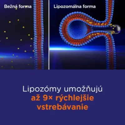 GS Koenzým Lipo Q10 60 mg 60 kapsúl – Obrázok 4