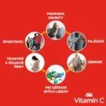 GS Vitamín C 500 mg so šípkami 120 tabliet – Obrázok 4