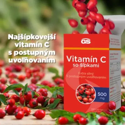 GS Vitamín C 500 mg so šípkami 120 tabliet – Obrázok 2