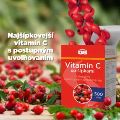 GS Vitamín C 500 mg so šípkami 60 tabliet – Obrázok 2