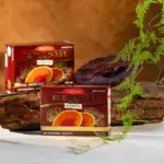 TEREZIA Reishi FORTE 60 kapsúl – Obrázok 3