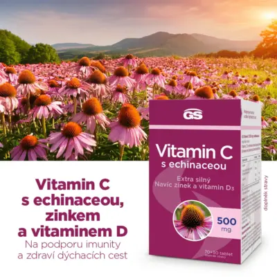 GS Vitamín C 500 mg s echinaceou 100 tabliet – Obrázok 3