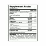 ChampION Sports Fuel 1000 ml - Amix – Obrázok 2