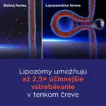 GS Vitamín Lipo C 500 mg so šípkami 90+10 kapsúl – Obrázok 4