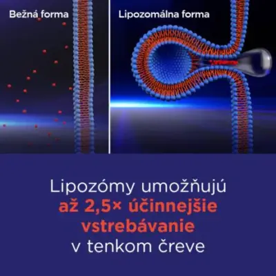GS Vitamín Lipo C 500 mg so šípkami 90+10 kapsúl – Obrázok 4
