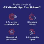 GS Vitamín Lipo C 500 mg so šípkami 90+10 kapsúl – Obrázok 5
