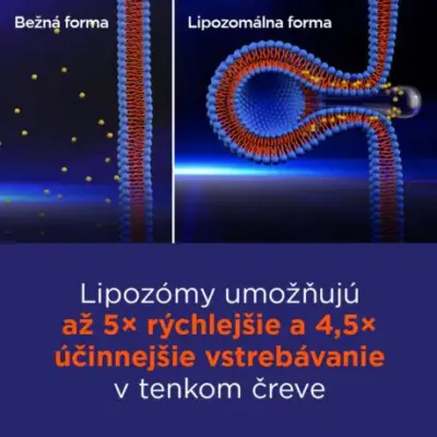 GS Vitamín Lipo D3 1000 IU 60 kapsúl – Obrázok 4