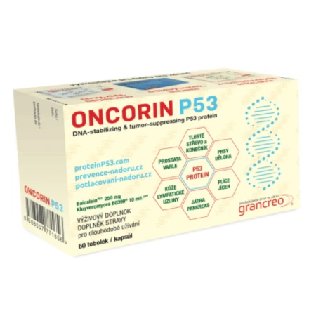 2_223652 ONCORIN 60 kapsúl – Obrázok 1