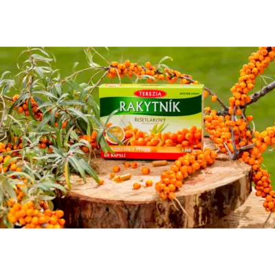 TEREZIA RAKYTNÍK REŠETLIAKOVÝ 60 kapsúl – Obrázok 2