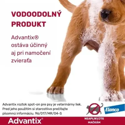 Advantix Spot-on pre psy 4 - 10 kg 1x1 ml – Obrázok 6
