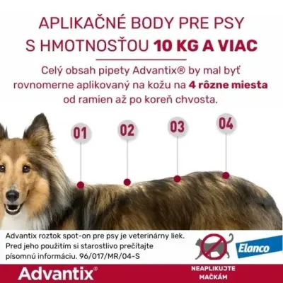 Advantix Spot-on pre psy 40 - 60 kg 1x6 ml – Obrázok 7