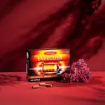 TEREZIA ENERGIZER 60 kapsúl – Obrázok 2