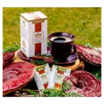 TEREZIA REISHI V KÁVE strong vrecúška 20x3,4 g – Obrázok 2