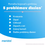 MERIDOL Zubná pasta Ochrana Ďasien + Citlivosť 75 ml – Obrázok 2