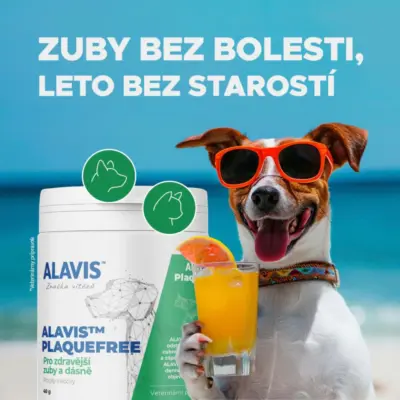 ALAVIS PLAQUEFREE prášok pre psy a mačky, pre zuby a ďasná 40 g – Obrázok 3