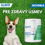 ALAVIS PLAQUEFREE prášok pre psy a mačky, pre zuby a ďasná 40 g – Obrázok 4