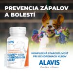 ALAVIS MSM + GLUKOZAMÍN SULFÁT 60 tabliet – Obrázok 2