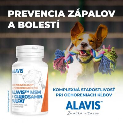 ALAVIS MSM + GLUKOZAMÍN SULFÁT 60 tabliet – Obrázok 2