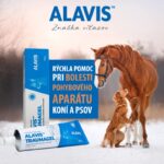 ALAVIS TRAUMAGEL gél 100 g – Obrázok 3