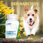 ALAVIS SANICELL 60 kapsúl – Obrázok 3