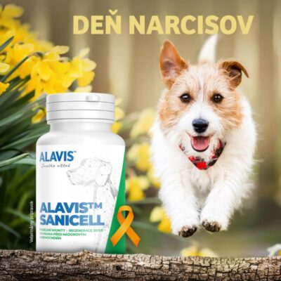 ALAVIS SANICELL 60 kapsúl – Obrázok 3