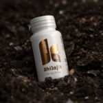 KOMPAVA Shilajit 90 kapsúl – Obrázok 2