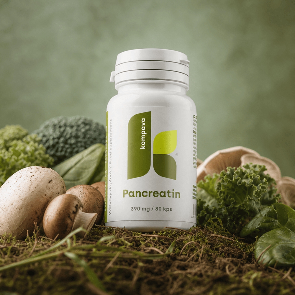 KOMPAVA Pancreatin 80 kapsúl – Obrázok 2